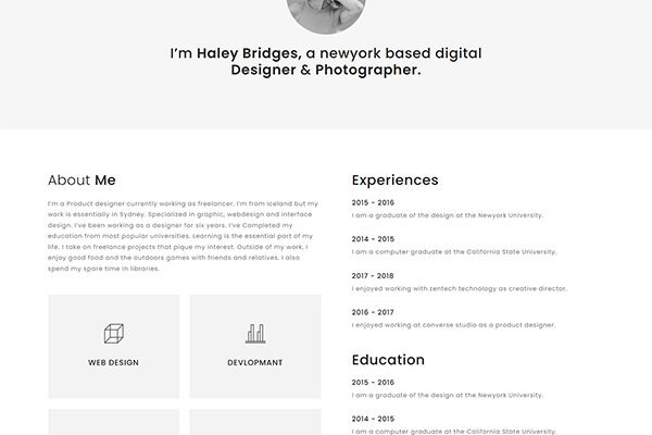 Haley – simple personal portfolio free webpage